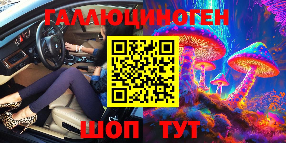 Кызыл  Псилоцибиновые грибы прущие грибы  Псилоцибиновые грибы прущие грибы  Вход с VPN 